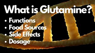 What is Glutamine Its Function Food Source amp Side Effects [upl. by Kursh]