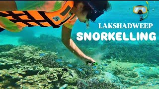 ASMR Snorkelling in Lakshadweep Islands 🤿🪸🐠 [upl. by Prochoras]