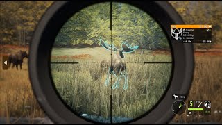 MOOSE GRIND FOR GREAT ONE THE HUNTER CALL OF THE WILD INDONESIA 6 [upl. by Ethbinium373]