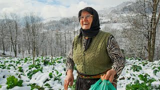 Kara Havvanın Geçmişe Ağıtı  Belgesel [upl. by Ajna]