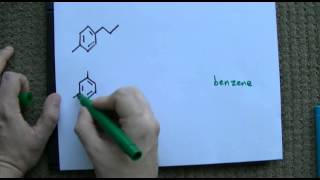 Ortho Meta Para Naming on Benzene [upl. by Ateekram388]