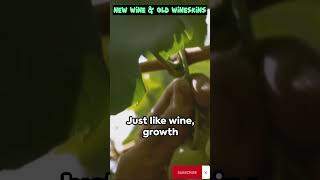 New Wine in Old Wineskin  Jesus Parable [upl. by Kcirred]