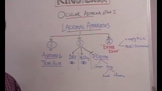 Lecture 1 Lacrimal System [upl. by Assetak]