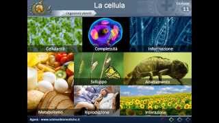 Citologia 11  la cellula [upl. by Idihc793]