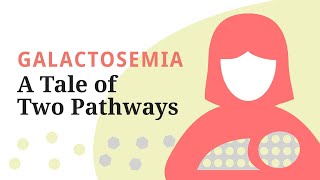 Galactosemia A Tale of Two Pathways—A brief overview of the galactose metabolic pathway [upl. by Neyut645]