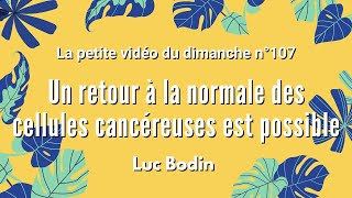 UN RETOUR À LA NORMALE DES CELLULES CANCÉREUSE EST POSSIBLE La petite vidéo du dimanche n°107 [upl. by Aicatan]