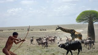 Incredible how Hadzabe Tribe Survive by Hunting in the Forest [upl. by Izogn]