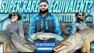 MY RAREST DIAMOND DAY TIME Diamond Bullhead Catfish amp MASSIVE Diamond Lake Trout COTW The Angler [upl. by Niarbo]