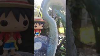 En Que Episodio Se Unieron A La Tripulación De Luffy onepiece anime luffy zoro humor figuras [upl. by Ebbie]