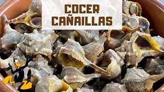 3 TRUCOS para Cocer Cañaíllas 🤤 ¡CARACOLES DE MAR [upl. by Ayanahs957]