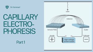 Capillary Electrophoresis introduction instrumentation  working and applications [upl. by Uella404]