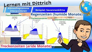 Klimadiagramme interpretieren  Beispiel Savannen [upl. by Mcspadden973]