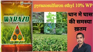 pyrazosulfuron ethyl 10 wp uses in hindipyrazosulfuron ethyl 10 wp uses in hindi dose [upl. by Ahtanaram]