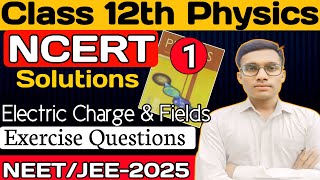 Electric Charge and Fields  NCERT Exercise Solution  Class 12th Physics Chapter1  Gyan Singh [upl. by Moneta]