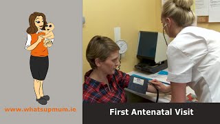 First Antenatal Visit [upl. by Naraa712]