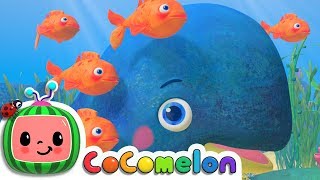 Baby Blue Whale Song  CoComelon Nursery Rhymes amp Kids Songs [upl. by Underwood]