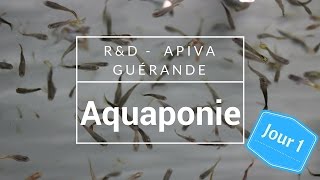 VLOG 14  Jour 1 APIVA Aquaponie en France  Les Sourciers [upl. by Eelrak]