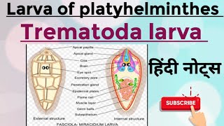 Larva of platyhelminthes Trematoda larva MSc zoology 1st semester Hindi notes [upl. by Eruot227]