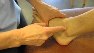 Lateral Malleolus Fibula Ankle Palpation [upl. by Harlen548]