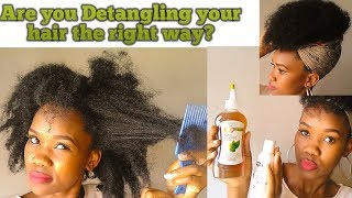 DIY APPLE CIDER VINEGAR DETANGLER  PROMOTES HAIR GROWTH  HEALTHY NATURAL HAIR [upl. by Kristyn313]