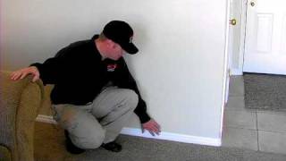 Termite Control  Signs That a Home Has Termites [upl. by Eceinwahs]