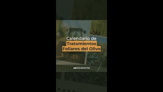 Calendario de TRATAMIENTOS FOLIARES del Olivo [upl. by Elleinaj988]