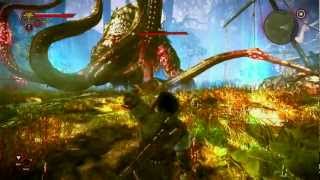 The Witcher 2 2  Matando Boss Kayran [upl. by Ariaec486]