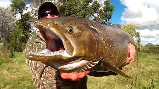 Sheboygan Fishing Guy Sheboygan River October 1st 2015 [upl. by Everara]