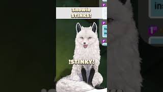 Snowie Smells Really Bad  SnowieTheSnowfox Stream Highlight [upl. by Ahsetal571]