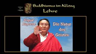 Die Natur des Geistes  Sogyal Rinpoche [upl. by Liuka801]