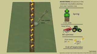 Wireworm Monitoring to Assess their Risk [upl. by Noissap253]