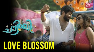 Love Blossom✨  Dulquer Salmaan  Charlie  Malayalam Movies  Sun NXT Malayalam [upl. by Wey]