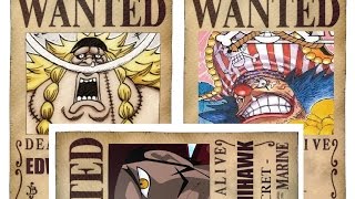 One Piece  Oka Shichibukai  7 Warlords of the Sea 王下七武海 HD 2016 [upl. by Darrej]