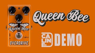 Caline  Queen Bee Overdrive  Demo [upl. by Chere]