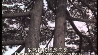 The Canaan Hymns  Chinese Version [upl. by Allez]