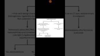 Adrenal incidentaloma [upl. by Zhang]