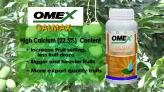 MANGO OMEX CALMAX TVC30 [upl. by Thorma]