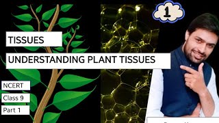 TISSUES PART 1  plant tissues  meristematic tissue  simple permanent tissue  SlicingScience [upl. by Aliek71]