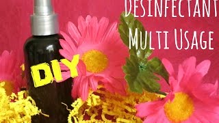 ✮ DIY ✮ Désinfectant Multi Usage  Caly Beauty [upl. by Matias25]