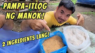 Dalawang Ingredients lang para umitlog ang mga inahing manok [upl. by Jimmie879]