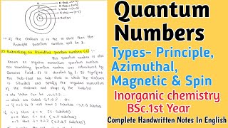 Quantum Numbers  Types Principle Azimuthal Magnetic amp Spin Quantum Numbers bscnotes [upl. by Gherlein536]