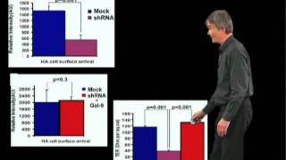 Kai Simons MPI Part 3 Biogenesis of glycolipidrich apical membranes [upl. by Mcarthur]