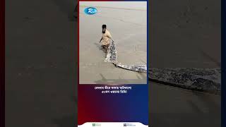 মেঘনার তীরে আটকা বিশাল তিমি একনজর দেখতে দর্শনার্থীদের ভীড় [upl. by Izmar]