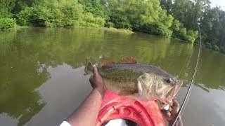 WHOPPER PLOPPER 110 GETS DESTROYED BY A GIANT BASS TOPWATER BLOWUP [upl. by Ysteb341]