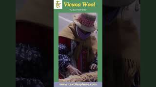 Vicuna Wool One of the most expensive wools in the world [upl. by Uht397]