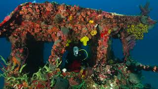 St Eustatius takes first place in Wreck Diving [upl. by Allesiram]