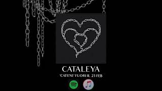 Cataleya  Catene lyric Video [upl. by Nivonod]