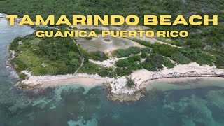 Tamarindo Beach  Guánica Puerto Rico [upl. by Akcimahs]