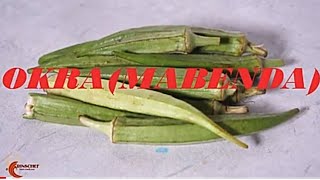 HOW TO COOK OKRA \ MABENDA bamia recipe  Jinsi ya kupika Mrenda wa mbegu [upl. by Haldas364]