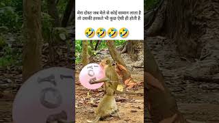 Monkey with balloon 🎈🎈 funnyshortsyoutubeshorts foryousubscribersytviral viralshortsmonkey [upl. by Atlante657]